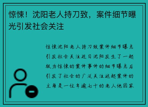 惊悚！沈阳老人持刀致，案件细节曝光引发社会关注