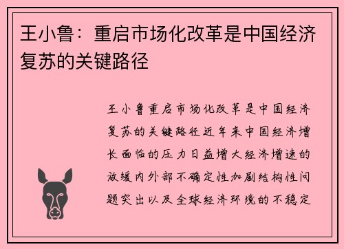 王小鲁：重启市场化改革是中国经济复苏的关键路径