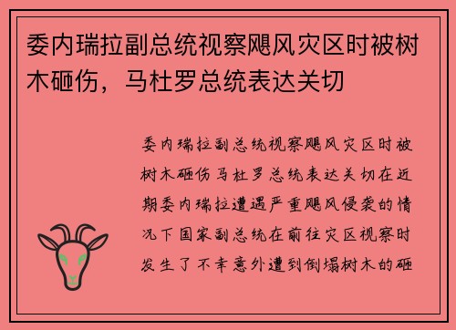 委内瑞拉副总统视察飓风灾区时被树木砸伤，马杜罗总统表达关切
