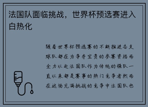 法国队面临挑战，世界杯预选赛进入白热化