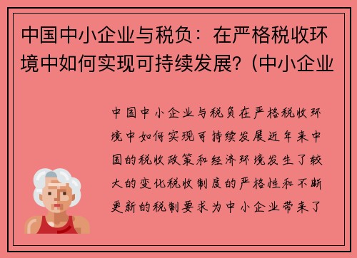 中国中小企业与税负：在严格税收环境中如何实现可持续发展？(中小企业税负情况分析)